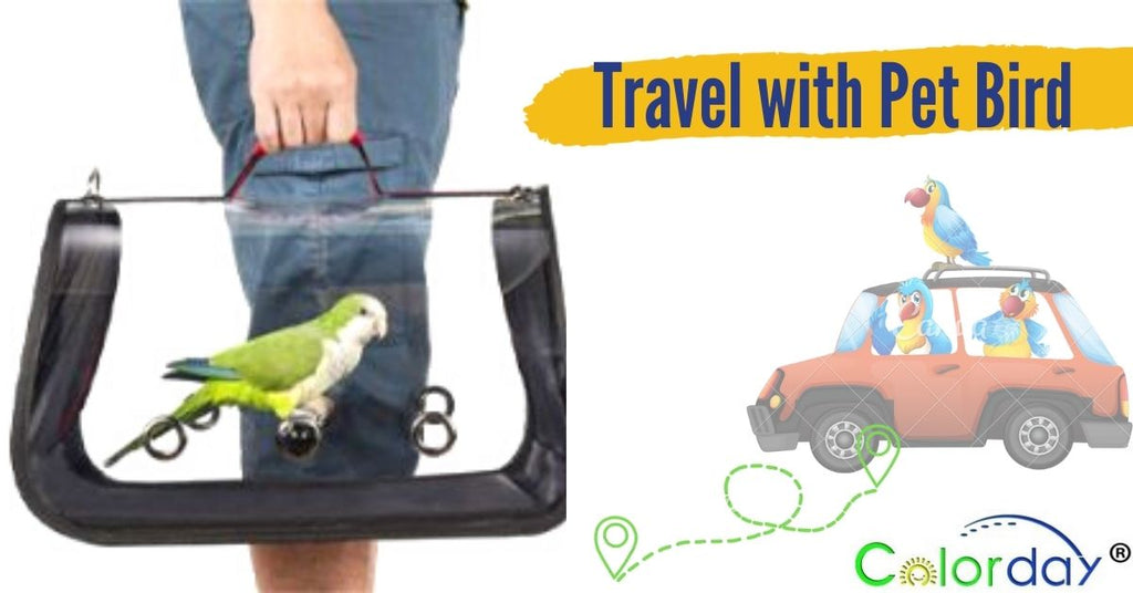 travel with pet bird