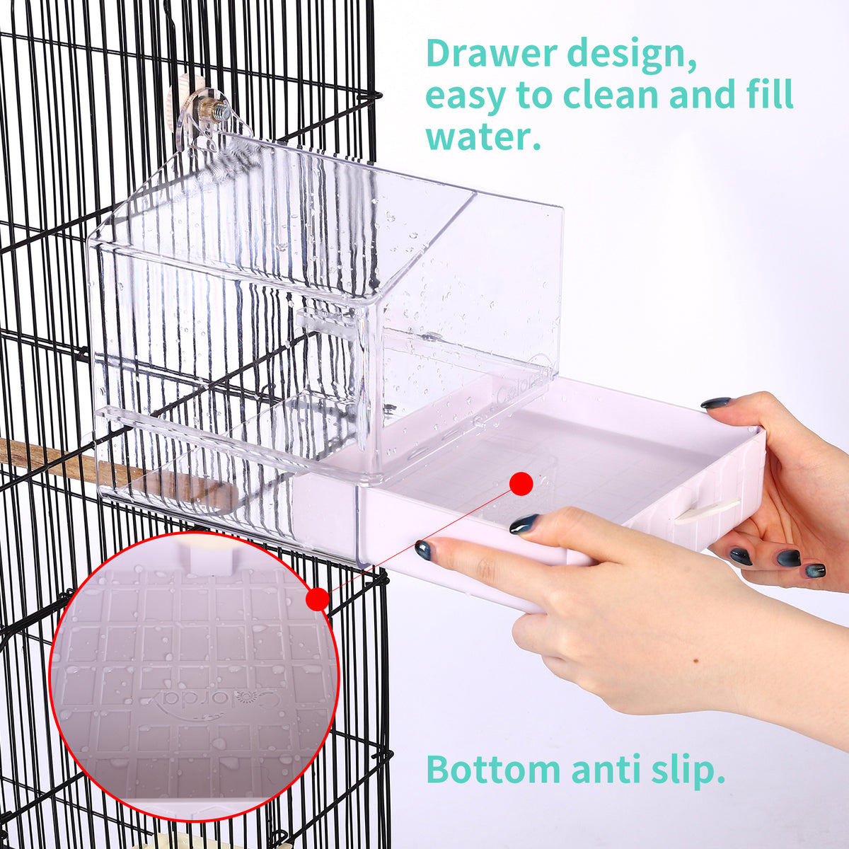 Colorday Transparent Cage Bird Bath for Small Birds