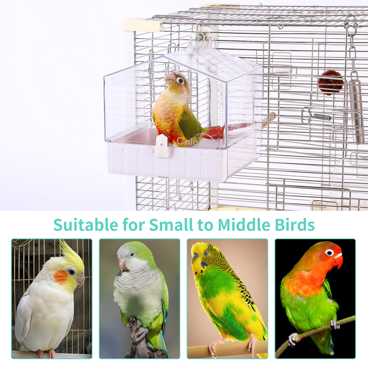 Colorday Transparent Cage Bird Bath for Small Birds