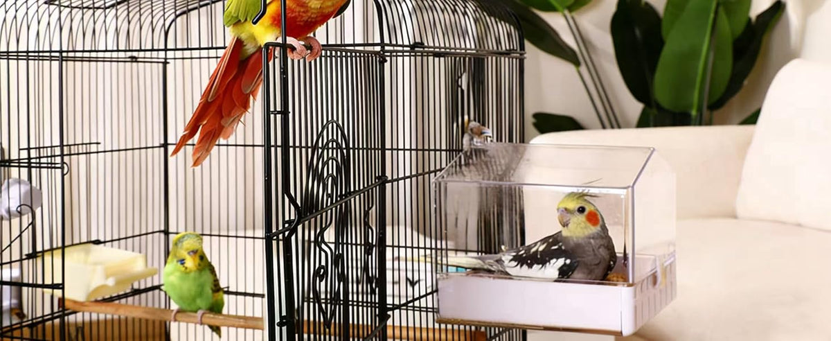 Colorday Transparent Cage Bird Bath for Small Birds