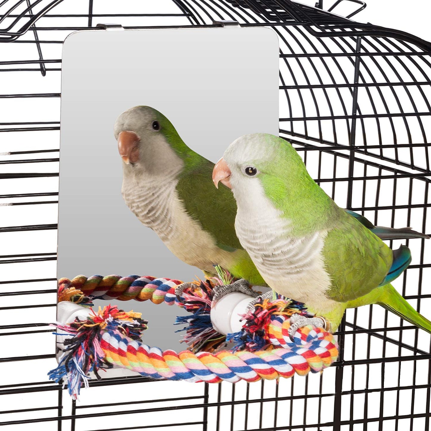 Bird Mirror